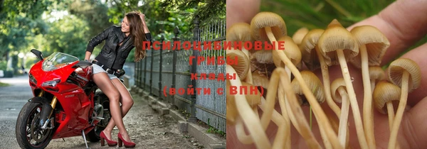 гашиш Вяземский