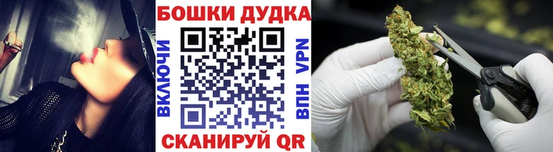 Каннабис конопля Каменногорск